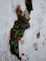 img20