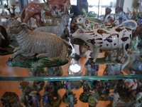 img48