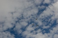 img14