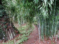 img29