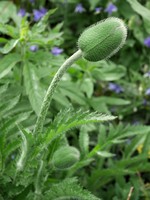 img22