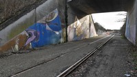 img8