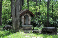 img45