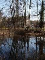 img44