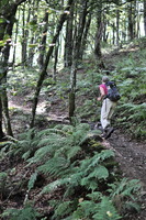 img13