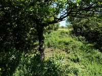 img20
