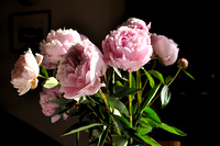 img45
